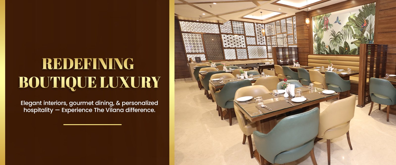 Vilana-1 web banner -3